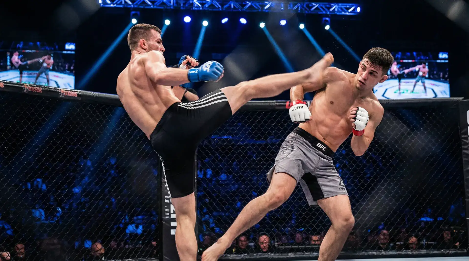 今日大赛 羽量级选手闪电踢击精彩瞬间